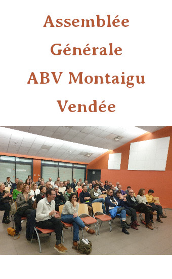 2023-11-10 - AG ABV Montaigu